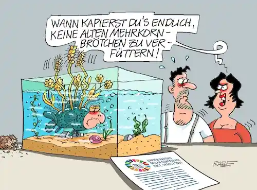meerkornbroetchen