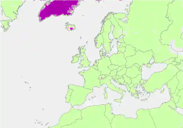 snow